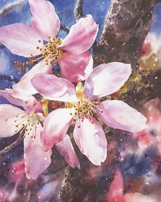 Sakura Blossom Paint By Numbers