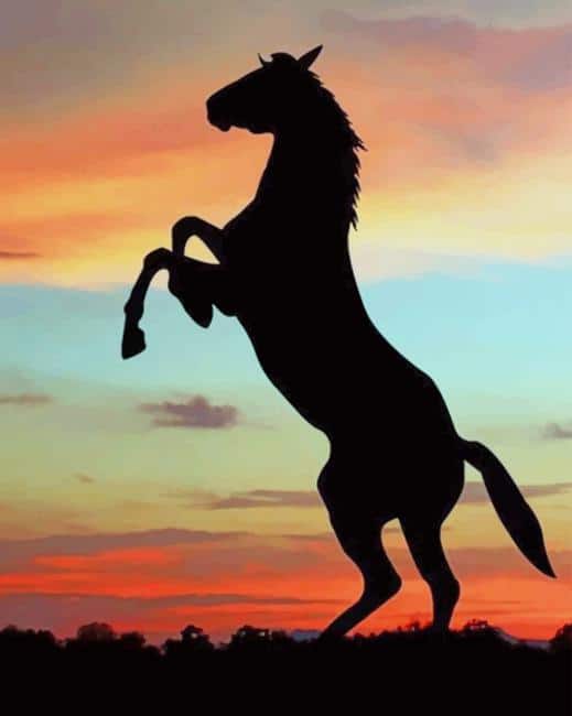 horse silhouette sunset