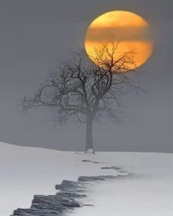 Snow Moon paint by numbers