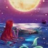 The Little Mermaid Watching The Moon paint by numbers
