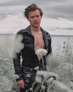 Vintage Photoshoot Harry Styles Paint By numbers