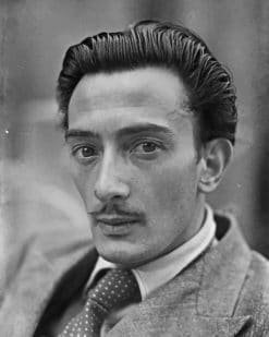 Young Salvador Dali paint by number