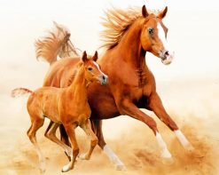Baby And Mom Stallion Horse paint by number
