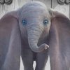 Dumbo Movie paint by number