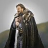 Eddard Stark Game Of Thrones paint by number