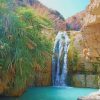 Ein Gedi Reserve in Israel paint by numbers