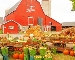 Farm House Harvest Pumpkin Picking paint by numbers