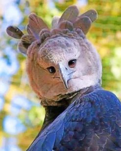 Harpy Eagle Face paint by numbers