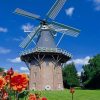 meyers muhle Windmill paint by numbers