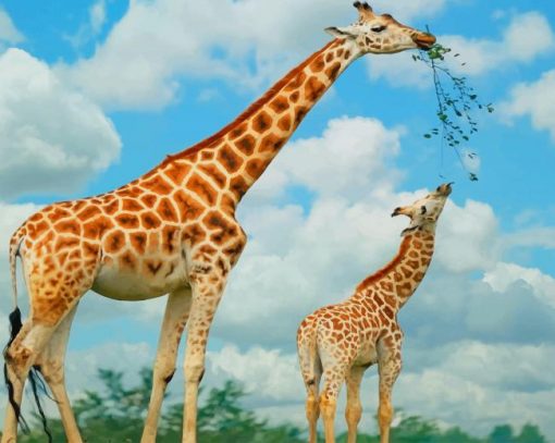 Mom And Baby Giraffe Eating paint by number