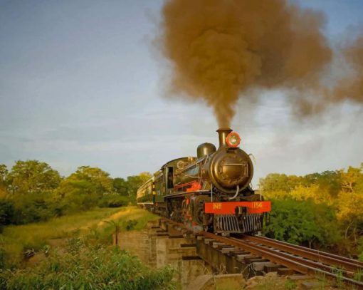 Royal Livingstone Steam Train paint by numbers
