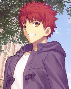 Shirou Emiya Character Fate Stay paint by numbers