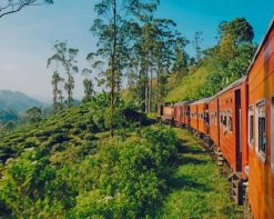 Sri Lanka Train Scenery paint by numbers