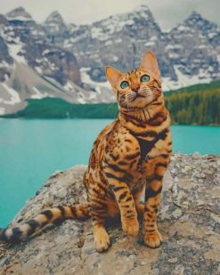The Bengal Cat paint by numbers