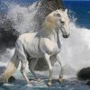 White Horse On The Beach paint by number
