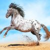 Amazing Horse In Beach paint by number