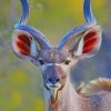 Antelope Animal paint by numbers