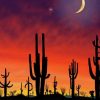 Arizona Cactus Silhouette paint by number