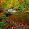 Autumn River Landscape paint by number