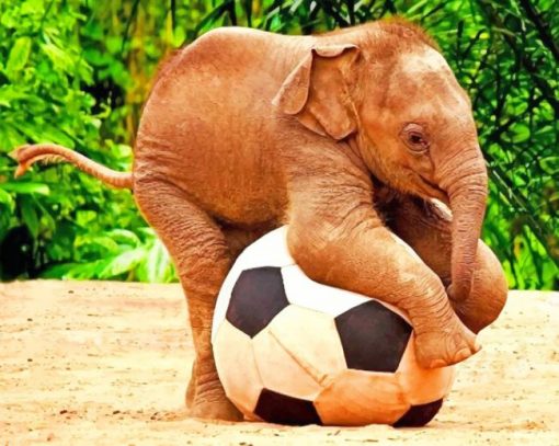 Baby Elephant Playing Football paint by number