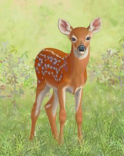 Baby White Tail Deer paint by numbers