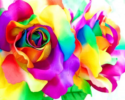 Beautiful Colorful Flowers paint by number