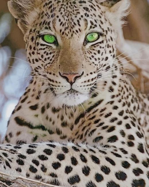 Beautiful Leopard Green Eyes