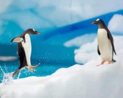 Beautiful Penguins In Snow paint by number