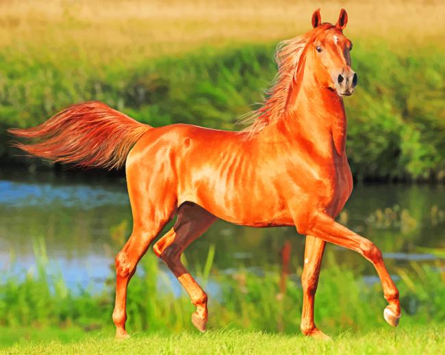 Beautiful Running Chestnut Horse paint by number
