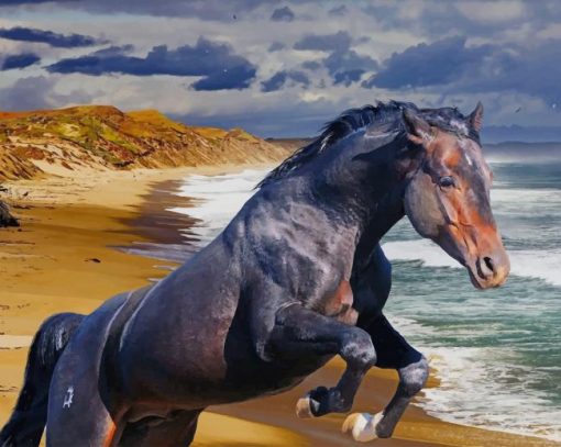 Black Horse On The Beach paint by number