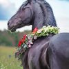 Black Horse With Flowers paint by numbers