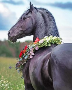 Black Horse With Flowers paint by numbers