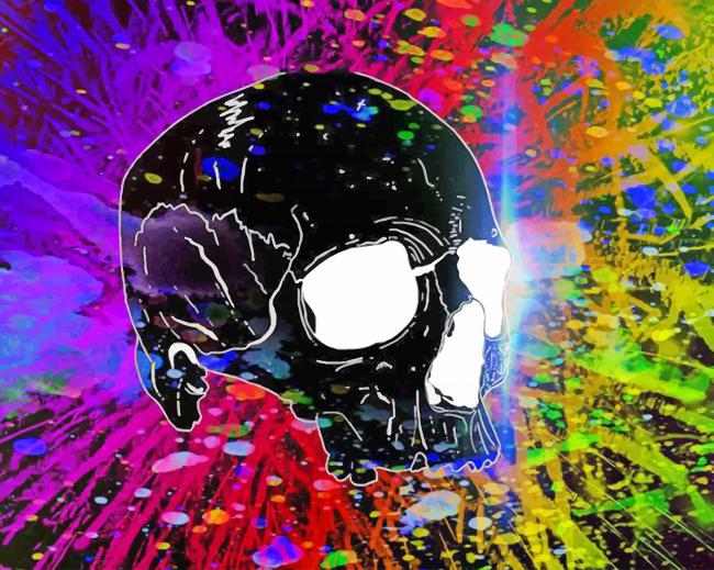 Black Skull Colorful Art paint by number