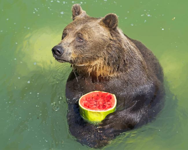 Brown Bear Holding Watermelon paint by number