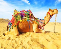 Camel And Sand paint by number