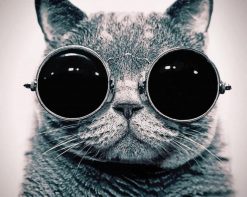 Cat With Sunglasses paint by number