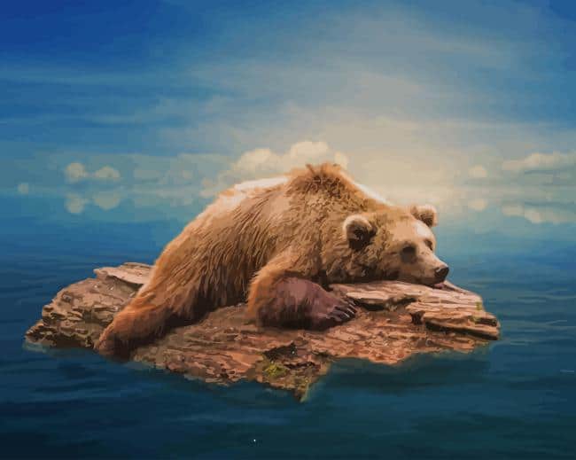 Chilling Bear paint by number