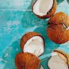 Coconut Fruit paint by numbers