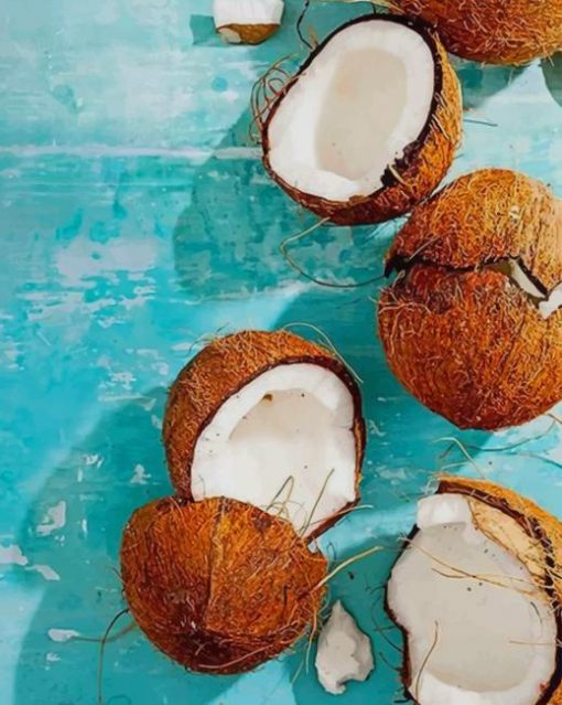 Coconut Fruit paint by numbers