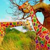 Cool Colorful Giraffes paint by number