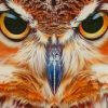 Fierce Owl paint by numbers