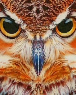Fierce Owl paint by numbers