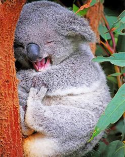 Funny Koala paint by numbers