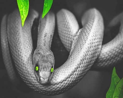 Grey Snake With Green Eyes paint by number