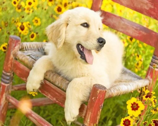 Happy Dog In Garden paint by number
