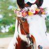 Horse With Flowers paint by numbers