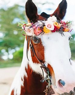Horse With Flowers paint by numbers