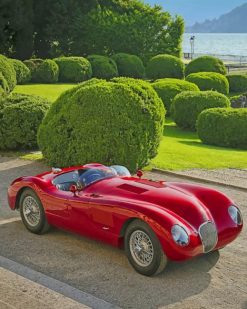 Jaguar C-Type Red paint by numbers