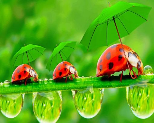 Ladybugs With Umbrella paint by number