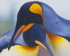 Lovely Penguins Couple paint by number